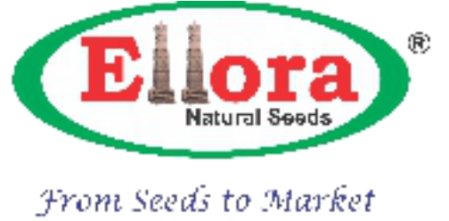 Logo 19